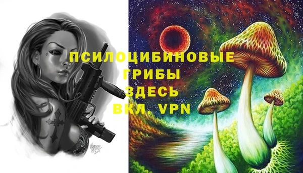 ECSTASY Новодвинск